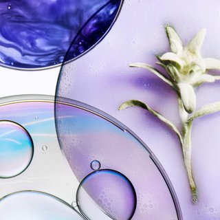 Brutaalste Blondines