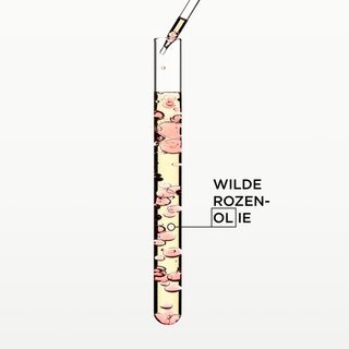 Gloss Absolu