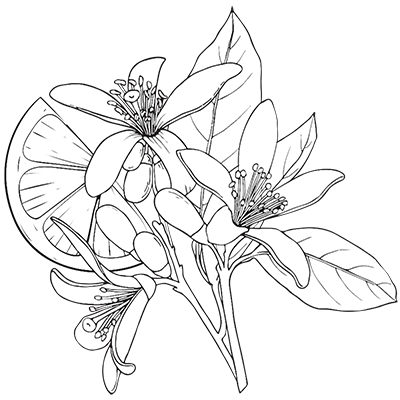 Hartnoten bloemenboeket